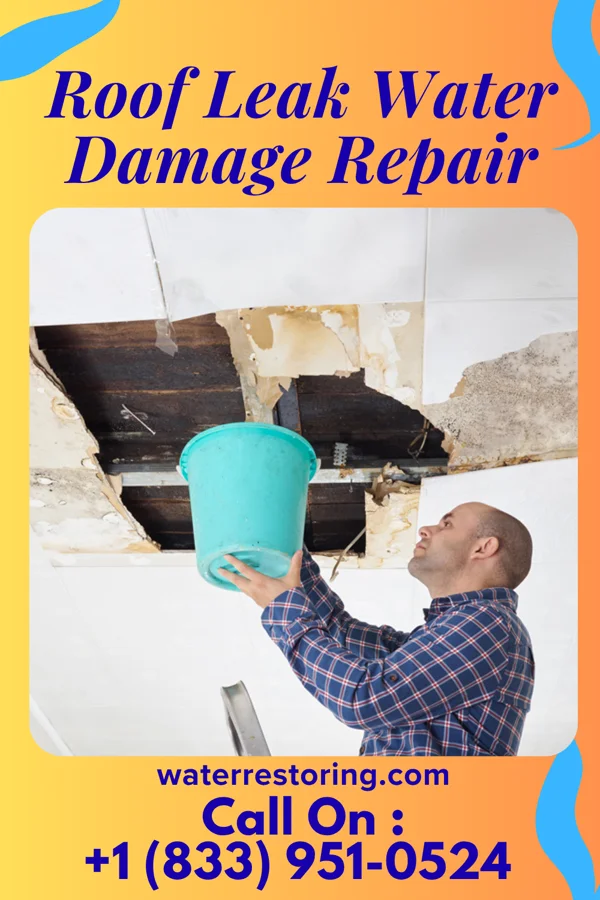 Roof Leak Water Damage Repair in Tremonton, UT
